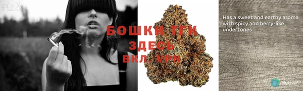 МДПВ Каменка