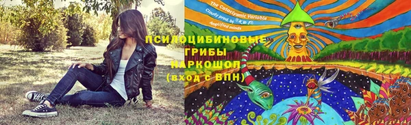 соль ск Каменск-Шахтинский