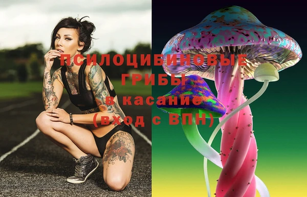синтетический гашиш Каменногорск