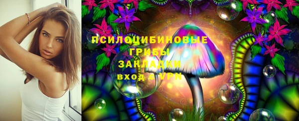 соль ск Каменск-Шахтинский