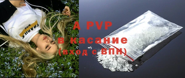 МДПВ Каменка