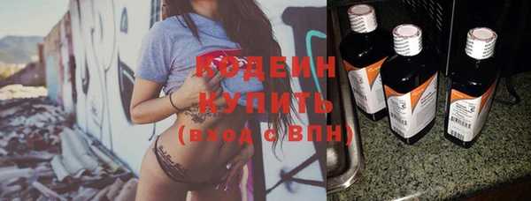 МДПВ Каменка