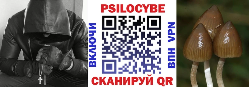 Псилоцибиновые грибы Magic Shrooms  Купить  Кораблино 